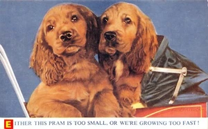 BAMFORTH HUND COMIC POSTKARTE VIEL GLÜCK NR G219 UNGEBRAUCHT SEHR GUT - Bild 1 von 2