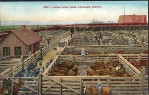 Postcard: Union Stock Yards, Portland OR - Unused - Picture 1 of 2