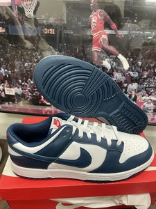Size 13 - Nike Dunk Low Velarian Blue/White - Picture 1 of 1