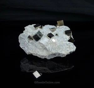  Pyrit Würfel in Matrix La Rioja Spanien 3522 - Bild 1 von 6