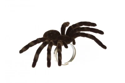 Anillo Araña Grande Pájaro Araña Miniblings Halloween Tarántula Anillo Dedo Foto 1 de 4