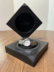 SKAGEN DENMARK P38SGS STEEL DATE 3ATM TWO-TONE ELASTIC BAND LADIES WATCH w/BOX! - Picture 1 of 11