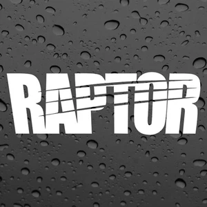 RAPTOR X2 PAIR STICKERS WHITE GRAPHICS DECAL STICKER OFFROAD 4X4 - Picture 1 of 2