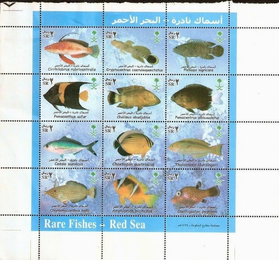 SAUDI ARABIA 12 x 1 RIYAL 2003 RED SEA FISH 1334 MINT STAMP COMPLETE SHEET LET - Image 1 of 1