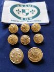 Vintage Crest Waterbury Complete Set Gold 15Mm & 20Mm Jacket Replacement Buttons