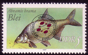 3095 Süßwasserfische 5 Pf Blei O