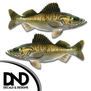 Walleye - Fish Decal Fishing Tackle Box Bumper Sticker "3in SET" F-1060 D& - Picture 1 of 1