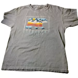 Steamboat Springs T-Shirt Mountain Bear Distressed blau Colorado Jugend Small - Bild 1 von 8