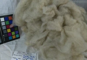 Romney wool roving varigated brown butter spin weave felting fiber arts - Picture 1 of 3