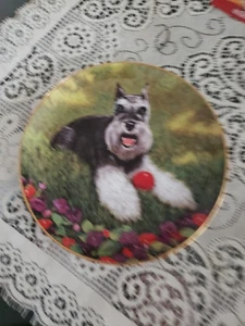 Danbury Mint - MINIATURE SCHNAUZERS - PLAY BALL - Collector Plate - Picture 1 of 2