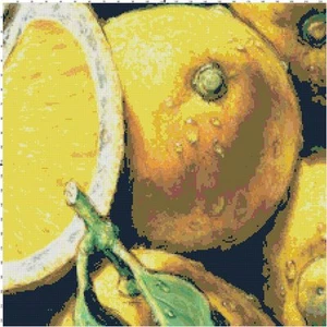 Handmade Refreshing Lemons Counted Cross-Stitch Pattern Needlepoint  - Picture 1 of 1