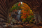 Waterfall Autumn Tunnel