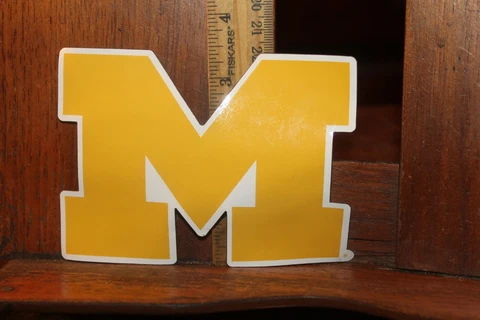 Michigan Wolverines Magnet Cover
