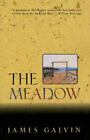 The Meadow by Galvin, James , paperback