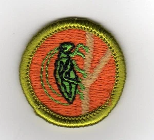 Insect Life Merit Badge, Type G Cloth Back (1961-71), Mint! - Picture 1 of 1