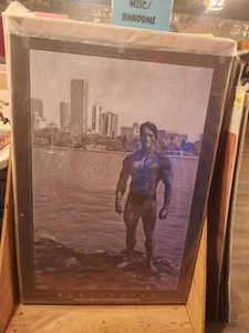Arnold Schwarzenegger-Bodybuilder-Mr. Olympia 1980-Disziplin-27x40 Poster - Bild 1 von 2