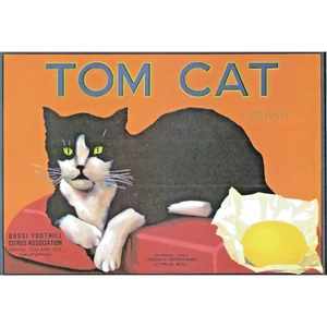 Vintage Colored Label "Tom Cat" Brand Citrus Orosi Foothill Citrus Assoc NOS - Picture 1 of 1