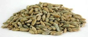 500g | Whole Organic Rye Grain Product of UK *A* Grade Free UK P&P - Picture 1 of 1