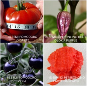 90 SEMILLAS DE TOMATES Y CHILES ENTRE LAS MÁS SABROSAS Y PICANTES - Imagen 1 de 1