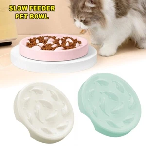 Slow Feeder Dog Bowls Anti Bloat No Gulp Puppy Pet Cat Interactive Feeding Bowl - Picture 1 of 23