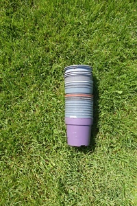 25 gebrauchte Pflanztöpfe/-töpfchen, Größe 10,5 - Bild 1 von 1