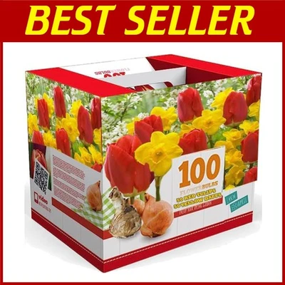 Colorido Tulipán y Narciso Mezcla Flor Bulbo Caja - 100 unidades Foto 1 de 4
