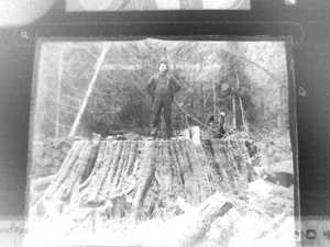Vintage s/w Glas Negativ Trockenplatten Riesen Baumstumpf Mann steht darauf  - Bild 1 von 1