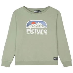 Niñas Niños Niños Jersey Edad 12 Imagen Verde Orgánico Auténtico Crew PVP £55 - Imagen 1 de 5