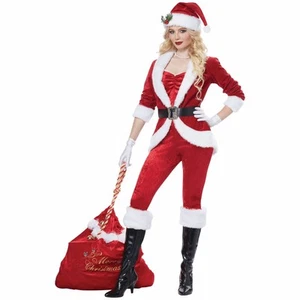 Sassy Santa Mrs Santa Claus Helper Christmas Festival Adult Womens Costume - Picture 1 of 2