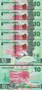 Zambia 10 Kwacha 2024 2025, UNC, 5 Pcs LOT, P-62, New Design, Pangolins EAGLE - Picture 1 of 4