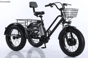24" Electric Trike 500W 48V LCD Display 140kg Capaci E-Trike Cargo Bicycle Adult - Picture 1 of 9