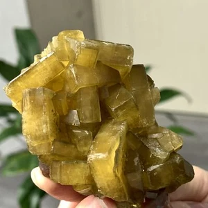 238G Shiny Golden Cuboid Barite Crystal Based on the Purple Spherical Fluorite - Picture 1 of 24