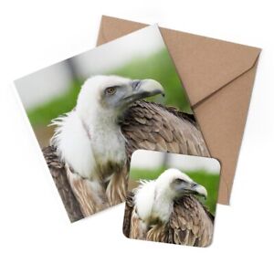 1 x Greeting Card & Coaster Set - Vulture Bird Wild Nature #2264