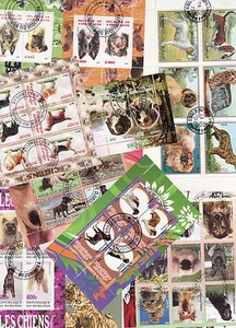 X1016 - Verzameling / Collection - 10 sheets - Honden / Dogs / Hunde - Picture 1 of 1
