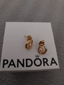 Pandora Ohrstecker GOLD  - Bild 1 von 1