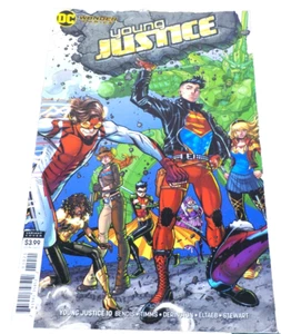 Young Justice #10 2019 Nick Bradshaw variante DC Wonder Comics Bendis Timms... - Imagen 1 de 5