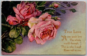 True Love Roses Speak Love 1910 cartolina in rilievo Ashville Ohio - Foto 1 di 2