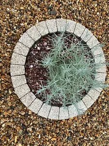 90 cm creme Ziegel Kreisring Baumeinfassung Grasumrandung Einfassung Granitsteine - Bild 1 von 11