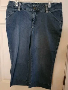 Jag Jeans Women’s Sz 14W Denim Jeans Wide Leg Crop Mid-Rise 5 Pockets - Picture 1 of 14