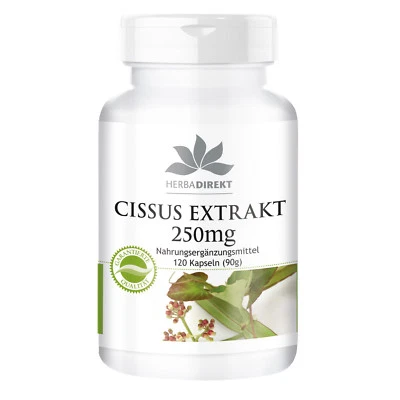 Cissus Extrakt 250 mg - 120 Kapseln mit 20% Ketosteronen | vegan | Herba Direkt