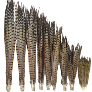 All'ingrosso Piume Fagiane Ad Anello Naturali Per Artigianato 10-70 cm Penna Fai Da Te - Foto 1 di 24