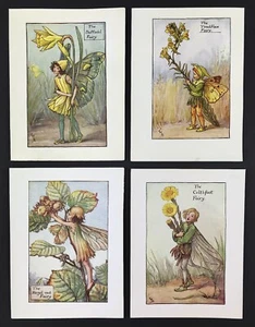 Flower fairies Cicely M Barker Dafoldil Toadflax Hazel-nut 1935 - Picture 1 of 4