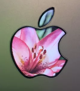 GLOWING FLOWER Apple MacBook Pro Air Sticker Logo Laptop DECAL 11,12,13,15,17 in - Picture 1 of 3