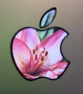 GLOWING FLOWER Apple MacBook Pro Air Sticker Logo Laptop DECAL 11,12,13,15,17 in - Image 1 of 3