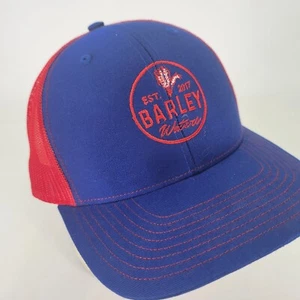 Barley Waters Mütze Kappe Bier Bar Johnson City TN Snapback Mesh Trucker rot blau - Bild 1 von 8