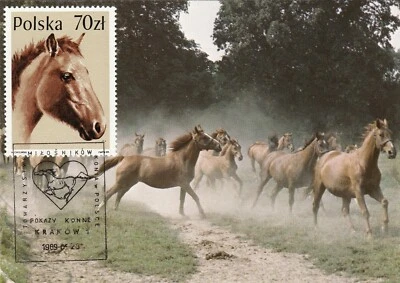 波兰 1989 克拉科夫马展 Maxicard 带图片盖销和马印 — 第 1/2 张图片