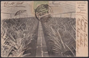 F-EX15921 PORTUGAL AÇORES AZORES PONTA DELGADA POSTCARD TO SPAIN - Picture 1 of 2