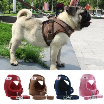 Katzengeschirr Mit Leine Kitten Ausbruchsicher Gepolstert Soft Verstellbar XS-L - Bild 1 von 4