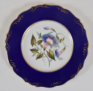 Antique English Porcelain Morning Glory Botanical Plate Cobalt Rim Circa 1820 - Picture 1 of 12