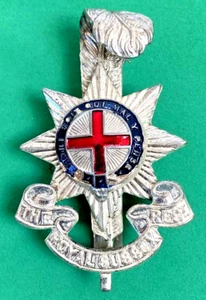 ROYAL SUSSEX REGIMENT - OFFICERS' SILVERED CAP BADGE - Picture 1 of 6